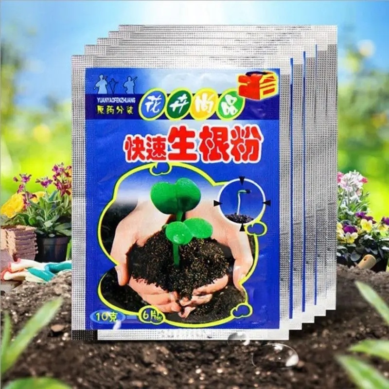 5 قطعة مسحوق تأصيل سريع النبات - مراجعة Rooting Hormone Powder وسعره